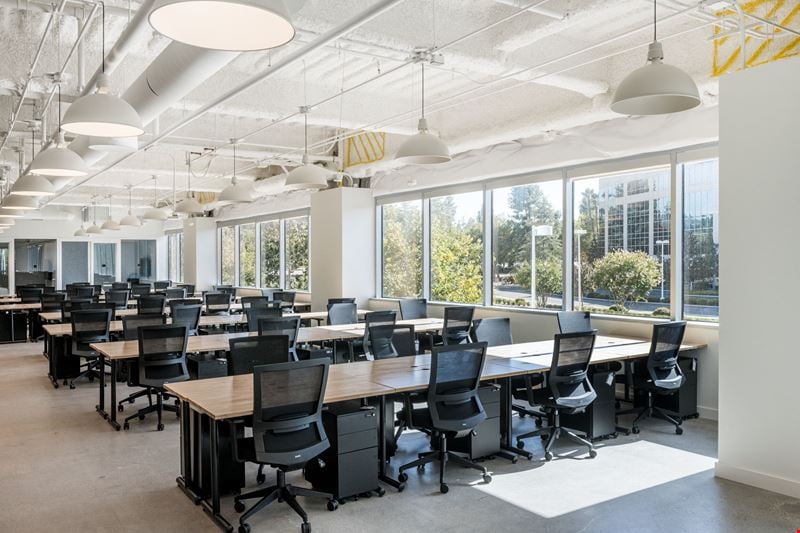 Campus @ Warner Center Office Space