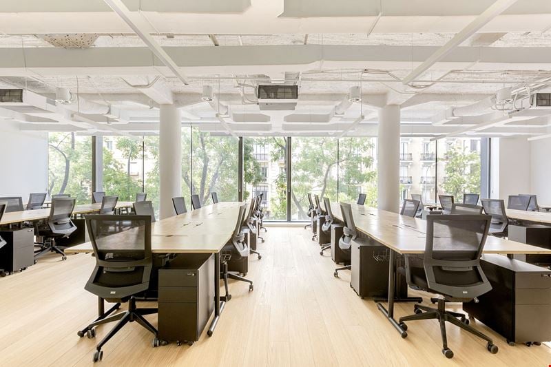 Calle de Goya 36 Office Space